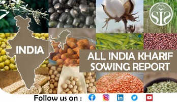 ALL INDIA KHARIF SOWING 19.07.2024