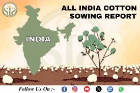 ALL INDIA CROP-2025 Season Sowing Report As On 06.06.25