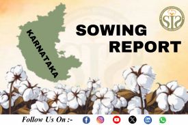 *KARNATAKA Cotton-2025 Season Sowing Report As On 13.06.25*