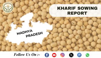 *MADHYA PRADESH Soyabean-2025 Season Sowing Report As On 11.07.25*