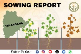 *TELANGANA Cotton-2025 Season Sowing Report As On 23.07.25*