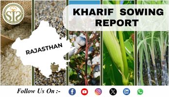 Rajasthan Kharif-2025-26 Season Sowing Report As On 14 August 2025