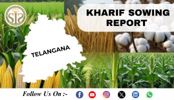 *TELANGANA Kharif-2025 Season Sowing Report As On 20 August 2025*