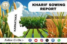 *KARNATAKA KHARIF SOWING 30.08.2024*