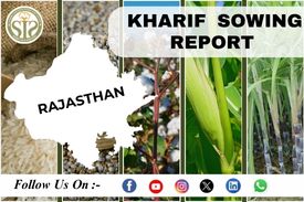 *RAJASTHAN Kharif-2023 Season Sowing Report As On 08 Aug 2023*