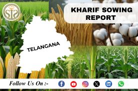 TELANGANA KHARIF SOWING REPORT AS ON 26 JULY 2023