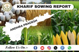 ANDRA PRADESH Kharif-2023 Season Sowing Report As On 28 June 2023