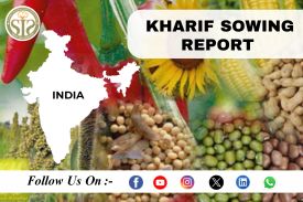 *ALL INDIA Kharif-2026-27 Season Sowing Report As On 12 JUNE 2026*