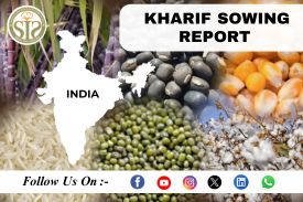 *ALL INDIA Kharif-2026-27 Season Sowing Report As On 14 AUGUST 2026*