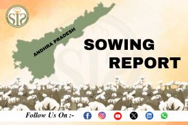 ANDRA PRADESH Cotton-2026 Season Sowing Report As On 19.08.26