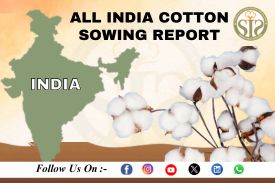 ALL INDIA COTTON SOWING 2026